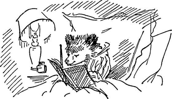 Иллюстрация к книге — Медвежонок Паддингтон. Новые приключения [i_040.jpg]