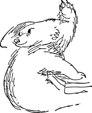 Иллюстрация к книге — Медвежонок Паддингтон спешит на помощь [i_008.jpg]