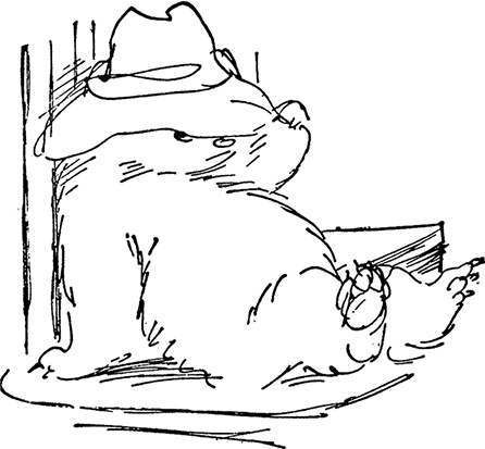 Иллюстрация к книге — Медвежонок Паддингтон спешит на помощь [i_009.jpg]