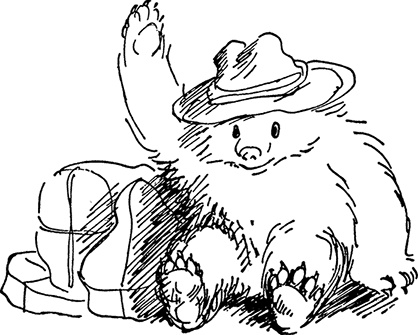 Иллюстрация к книге — Медвежонок Паддингтон спешит на помощь [i_010.jpg]