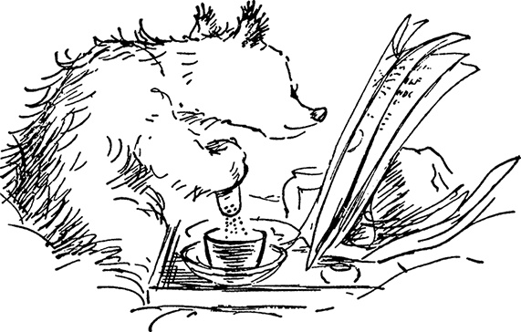 Иллюстрация к книге — Медвежонок Паддингтон спешит на помощь [i_012.jpg]