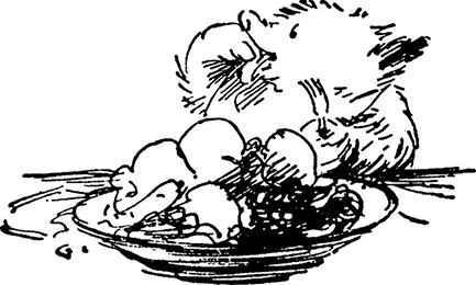 Иллюстрация к книге — Медвежонок Паддингтон спешит на помощь [i_029.jpg]