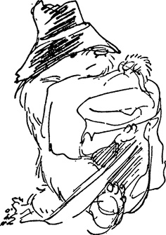 Иллюстрация к книге — Медвежонок Паддингтон спешит на помощь [i_031.jpg]