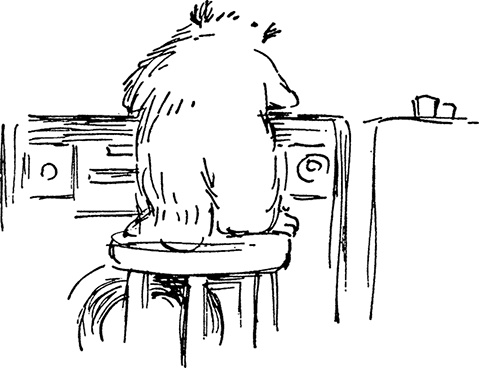 Иллюстрация к книге — Медвежонок Паддингтон спешит на помощь [i_033.jpg]