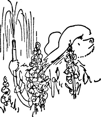 Иллюстрация к книге — Медвежонок Паддингтон тут и там [i_001.jpg]