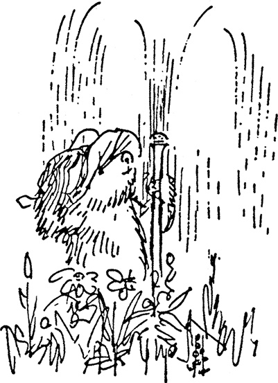 Иллюстрация к книге — Медвежонок Паддингтон тут и там [i_002.jpg]