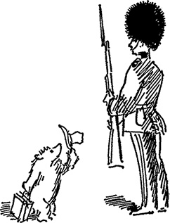 Иллюстрация к книге — Медвежонок Паддингтон тут и там [i_008.jpg]