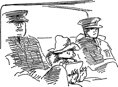 Иллюстрация к книге — Медвежонок Паддингтон тут и там [i_010.jpg]