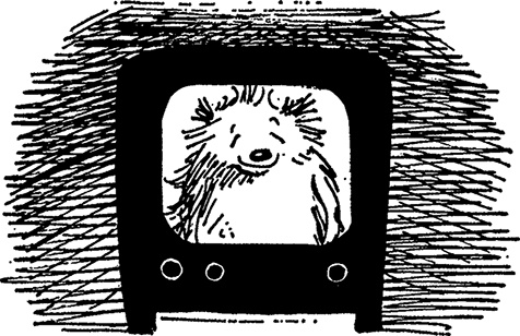 Иллюстрация к книге — Медвежонок Паддингтон тут и там [i_012.jpg]