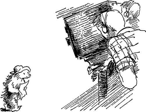 Иллюстрация к книге — Медвежонок Паддингтон тут и там [i_014.jpg]