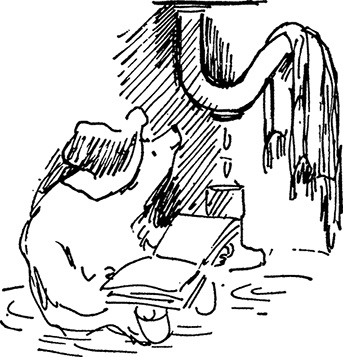 Иллюстрация к книге — Медвежонок Паддингтон не сдается [i_005.jpg]