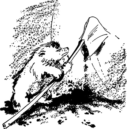 Иллюстрация к книге — Медвежонок Паддингтон не сдается [i_012.jpg]