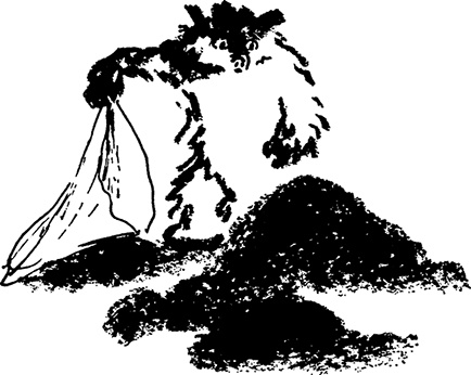 Иллюстрация к книге — Медвежонок Паддингтон не сдается [i_013.jpg]