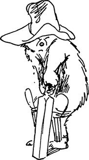 Иллюстрация к книге — Медвежонок Паддингтон не сдается [i_022.jpg]