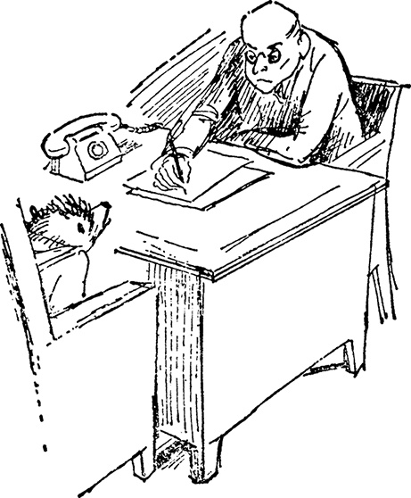 Иллюстрация к книге — Медвежонок Паддингтон занят делом [i_003.jpg]