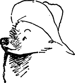 Иллюстрация к книге — Медвежонок Паддингтон занят делом [i_005.jpg]