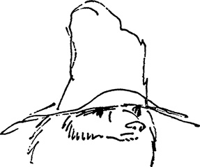 Иллюстрация к книге — Медвежонок Паддингтон занят делом [i_015.jpg]