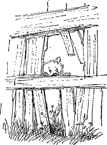 Иллюстрация к книге — Медвежонок Паддингтон занят делом [i_024.jpg]