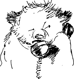 Иллюстрация к книге — Медвежонок Паддингтон в центре Лондона [i_004.jpg]