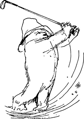 Иллюстрация к книге — Медвежонок Паддингтон в центре Лондона [i_008.jpg]