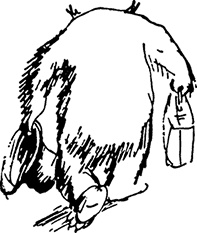 Иллюстрация к книге — Медвежонок Паддингтон в центре Лондона [i_023.jpg]