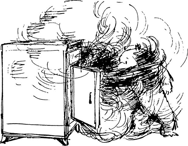 Иллюстрация к книге — Медвежонок Паддингтон в центре Лондона [i_033.jpg]