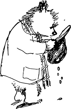 Иллюстрация к книге — Медвежонок Паддингтон в центре Лондона [i_037.jpg]