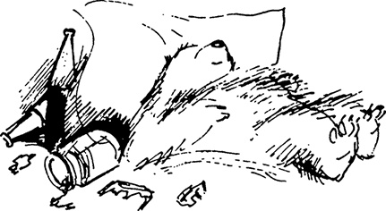 Иллюстрация к книге — Медвежонок Паддингтон в центре Лондона [i_040.jpg]