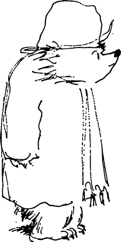 Иллюстрация к книге — Медвежонок Паддингтон находит выход [i_017.jpg]