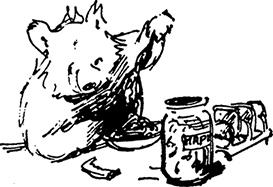 Иллюстрация к книге — Медвежонок Паддингтон на высоте [i_024.jpg]