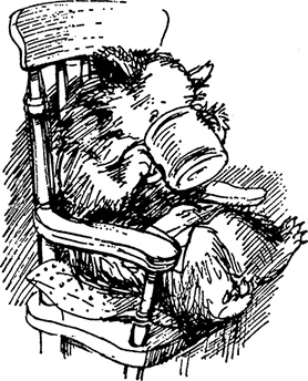 Иллюстрация к книге — Медвежонок Паддингтон на высоте [i_031.jpg]