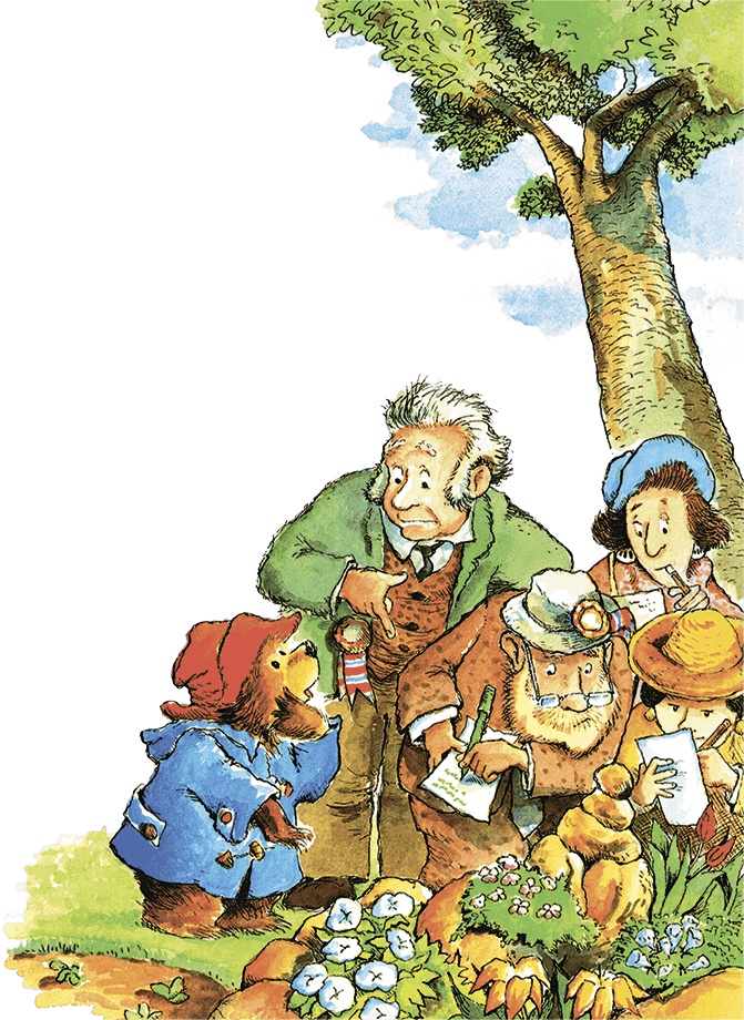 Иллюстрация к книге — Медвежонок Паддингтон в саду [i_024.jpg]