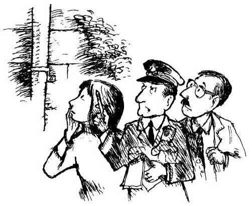 Иллюстрация к книге — Медвежонок Паддингтон. Здесь и сейчас [i_010.jpg]