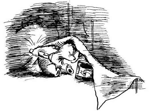 Иллюстрация к книге — Медвежонок Паддингтон. Здесь и сейчас [i_011.jpg]