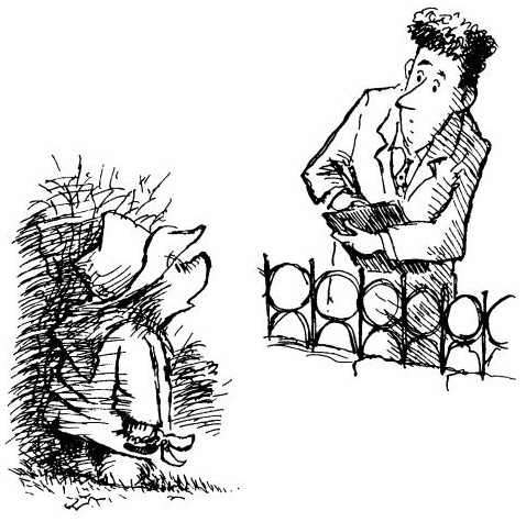 Иллюстрация к книге — Медвежонок Паддингтон. Здесь и сейчас [i_032.jpg]