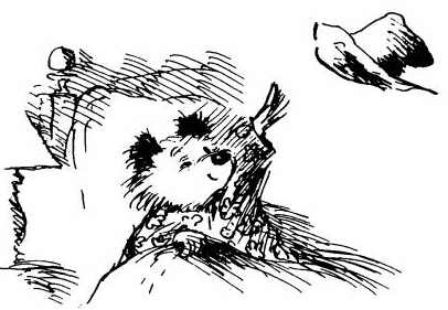 Иллюстрация к книге — Медвежонок Паддингтон. Здесь и сейчас [i_048.jpg]