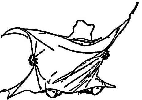 Иллюстрация к книге — Паддингтон путешествует [i_001.jpg]