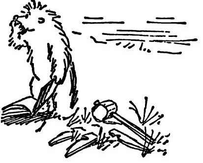 Иллюстрация к книге — Паддингтон путешествует [i_025.jpg]