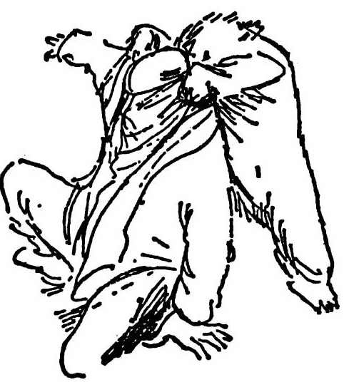 Иллюстрация к книге — Паддингтон путешествует [i_036.jpg]