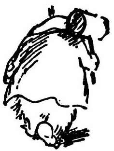 Иллюстрация к книге — Паддингтон путешествует [i_065.jpg]