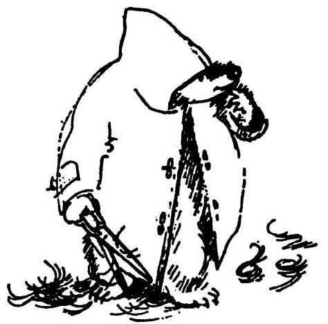 Иллюстрация к книге — Паддингтон путешествует [i_068.jpg]