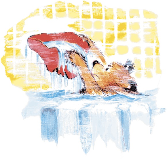 Иллюстрация к книге — Медвежонок Паддингтон [i_026.jpg]