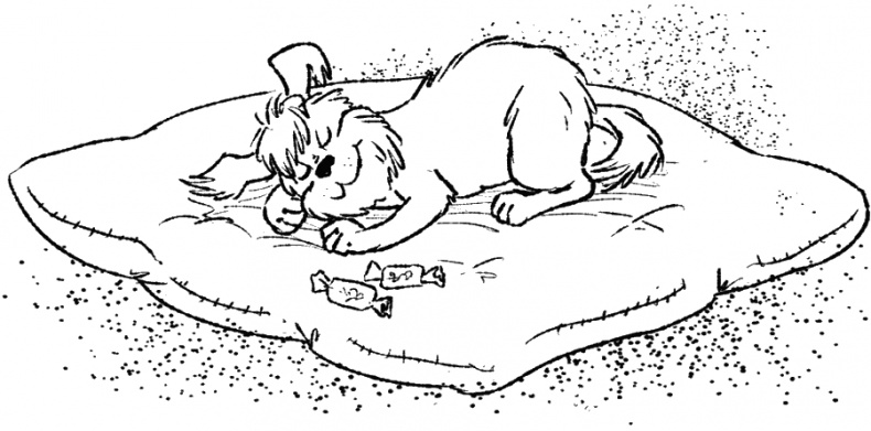 Иллюстрация к книге — Приключения Пуха на Земле и в Космосе [i_006.jpg]