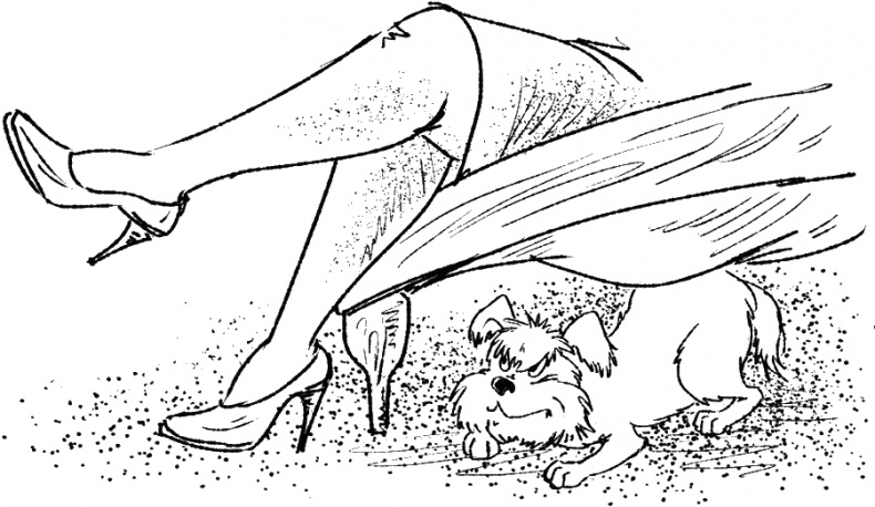 Иллюстрация к книге — Приключения Пуха на Земле и в Космосе [i_010.jpg]