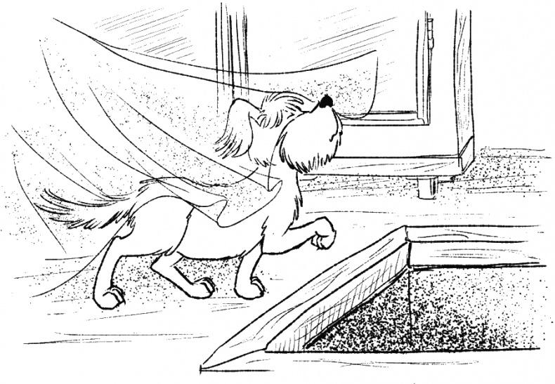 Иллюстрация к книге — Приключения Пуха на Земле и в Космосе [i_021.jpg]