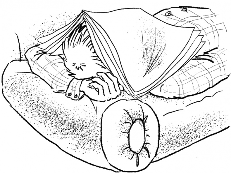 Иллюстрация к книге — Приключения Пуха на Земле и в Космосе [i_026.jpg]