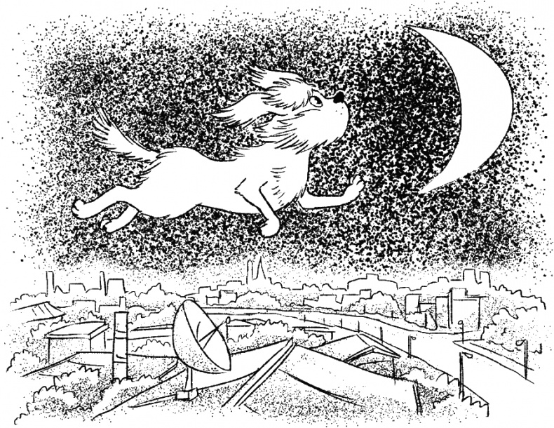 Иллюстрация к книге — Приключения Пуха на Земле и в Космосе [i_044.jpg]