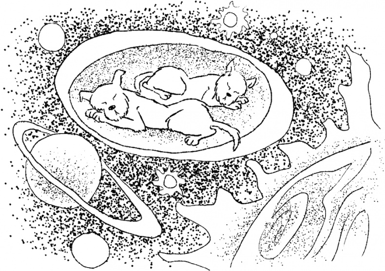 Иллюстрация к книге — Приключения Пуха на Земле и в Космосе [i_047.jpg]