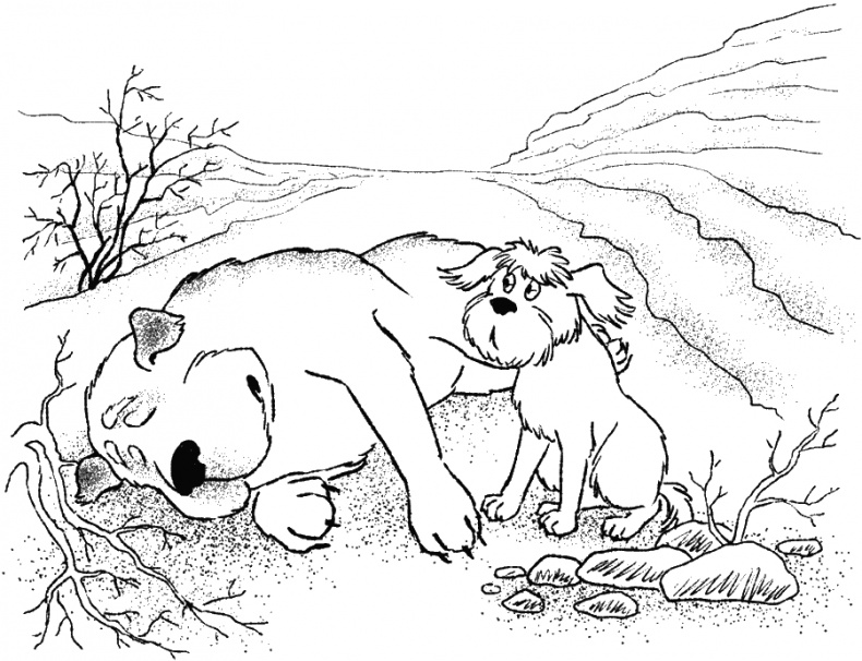 Иллюстрация к книге — Приключения Пуха на Земле и в Космосе [i_064.jpg]