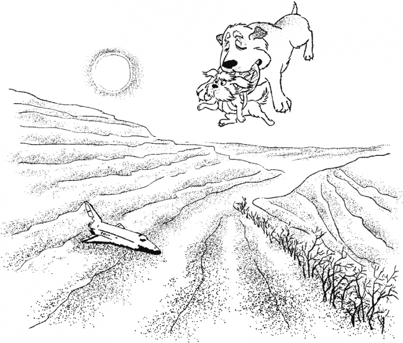 Иллюстрация к книге — Приключения Пуха на Земле и в Космосе [i_065.jpg]